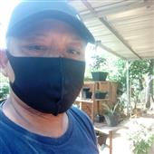 Dự