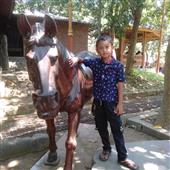 Nữ