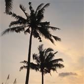 Đậ