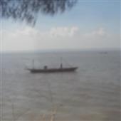 Tỷ