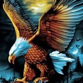Fo