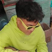 Bl