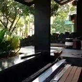 Li