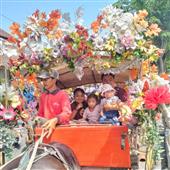 Mạ