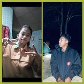 Gi