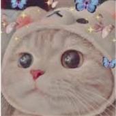 Tu
