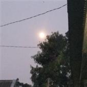 Nữ