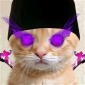 Tổ