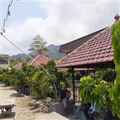 Bà