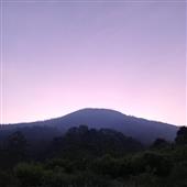 Mậ