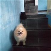 Đạ