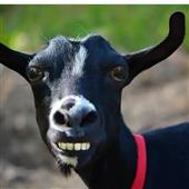 Is