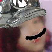 Se