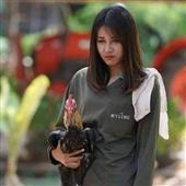 Gi