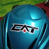 Ca