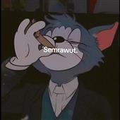 Qu