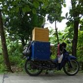 Dạ