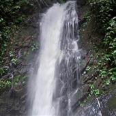 U1