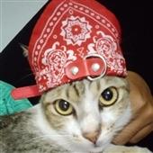 Mơ