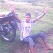 Cỏ