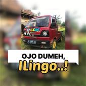 Vư