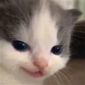 Đạ