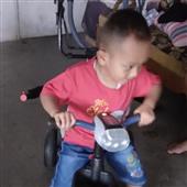 Ho