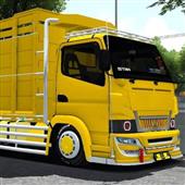 VE