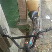 Bó