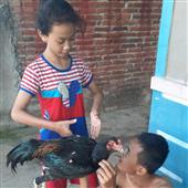 Bắ