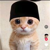 Lu