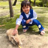 Nổ