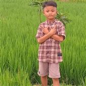 Tỷ