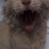 Ra