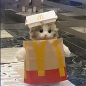 Mâ