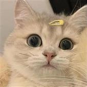 Lu