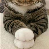 Al