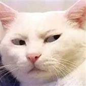 Lu
