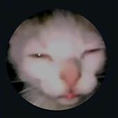 Th