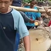 Cổ