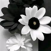 Cầ