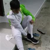 Gi