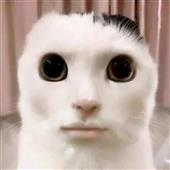 Đê