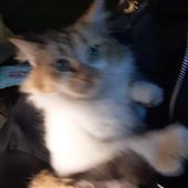 nả