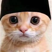 Ch