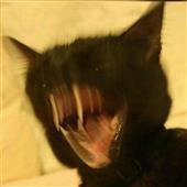 Cô