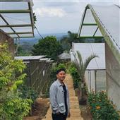 GẤ