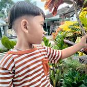 Sự