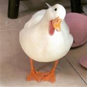 LẠ