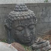 Cá